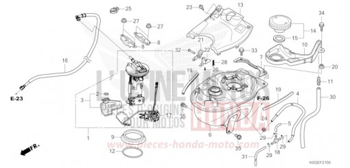 FUEL TANK/FUEL PUMP C125AN de 2022